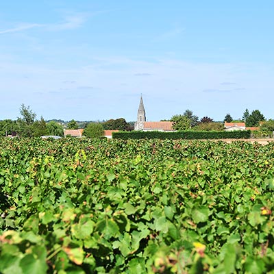 Vue sur l'église de La Remaudière depuis la vigne