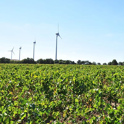 Éoliennes sur la commune de La Remaudière