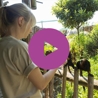 Zoo de La Boissière du Doré