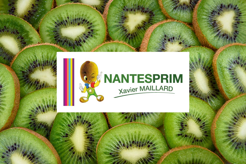 Logo Nantesprim Xavier Maillard, sud Loire Bretagne