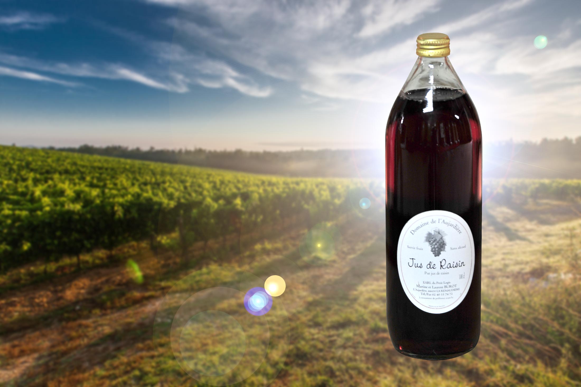 Jus de raisin artisanal vignoble nantais la Remaudière