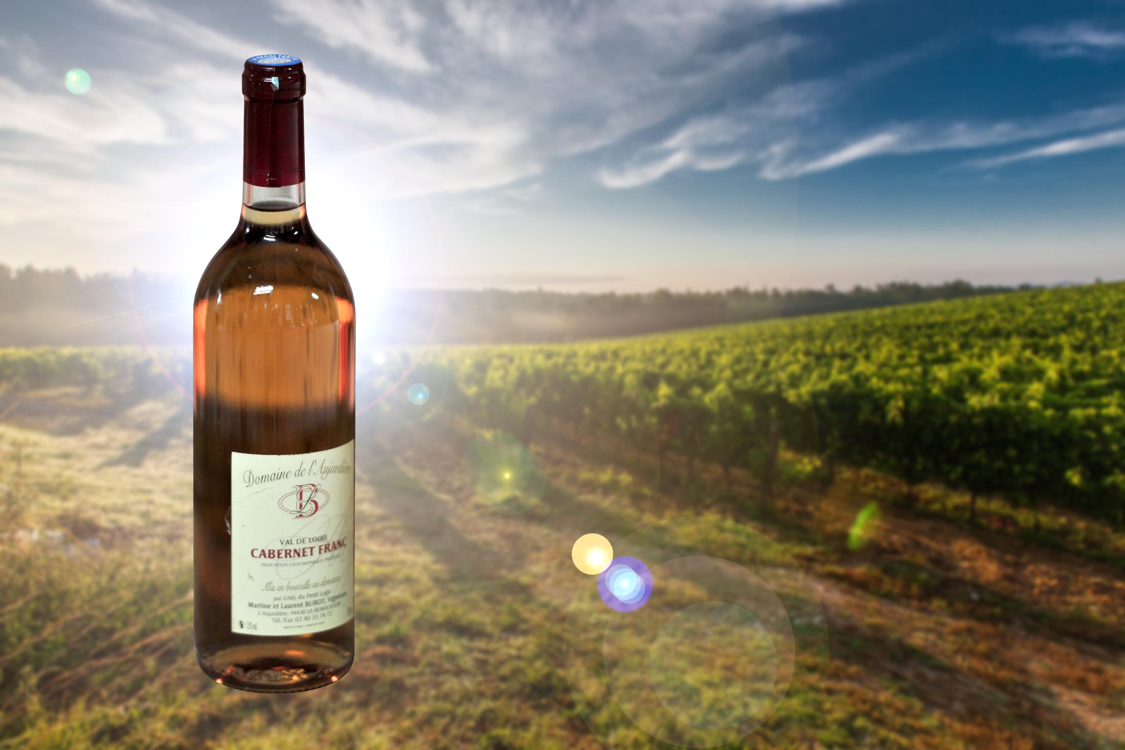 Bouteille de Cabernet franc rosé au Domaine du Petit Logis (44)