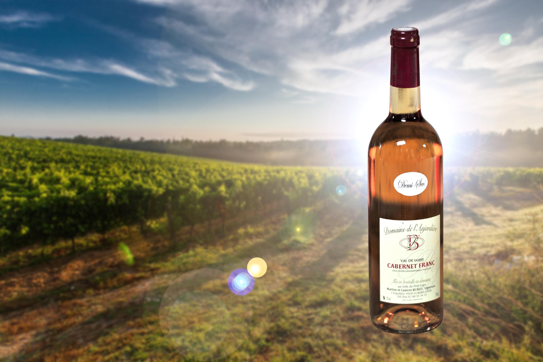 Bouteille de Cabernet franc rosé au Domaine du Petit Logis (44)demi sec