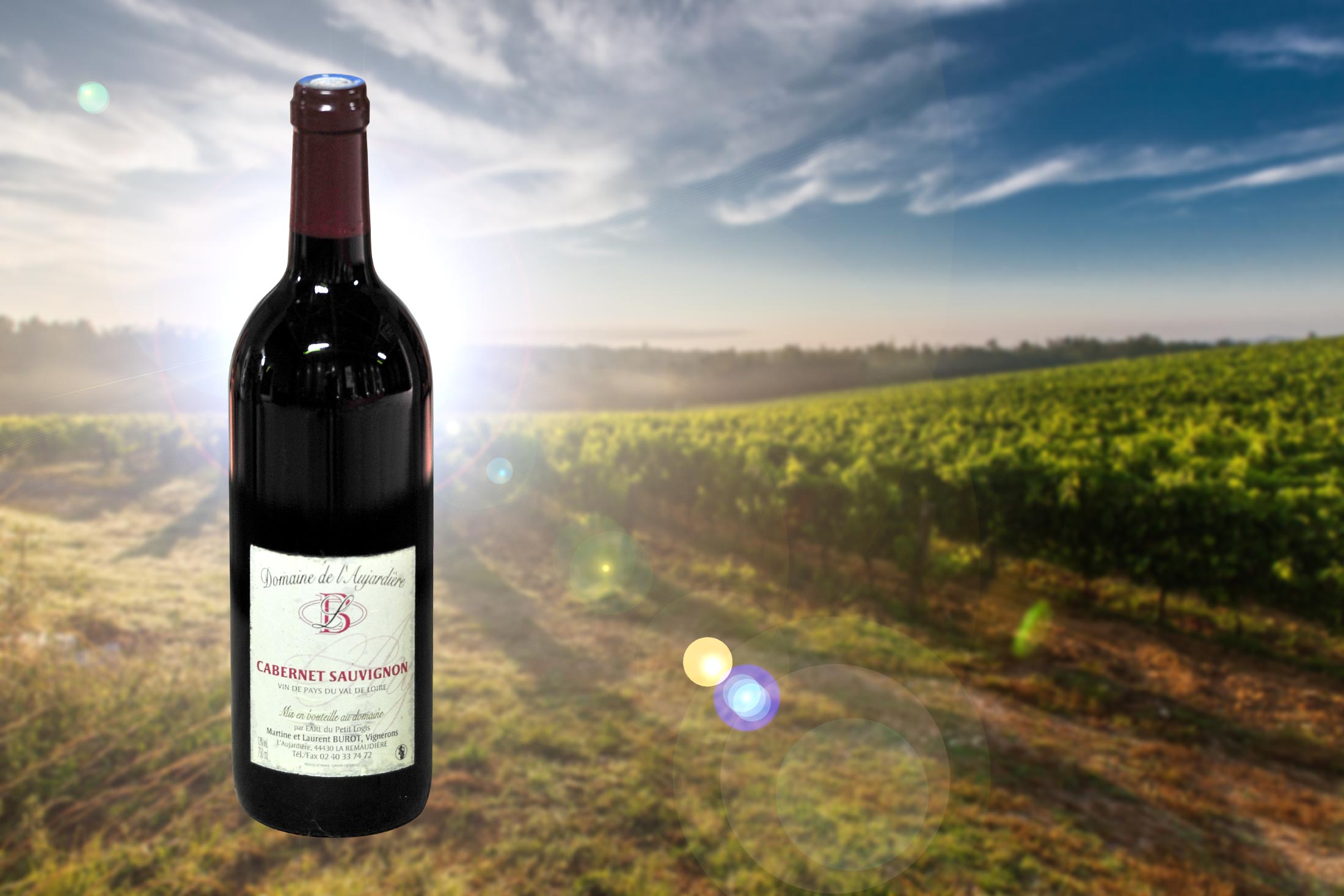 Bouteille de Cabernet rouge au Domaine du Petit Logis (44)